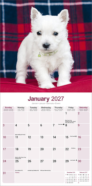 West Highland White Terrier Kalender 2027