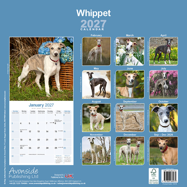 Whippet Kalender 2027