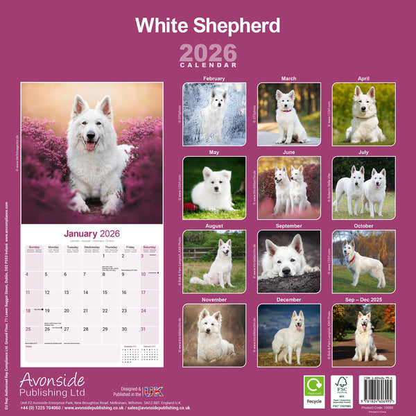 White Shepherd Kalender 2026