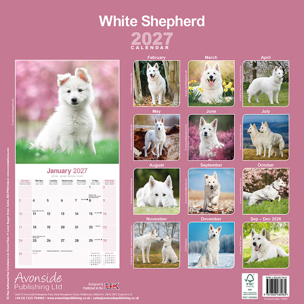 White Shepherd Kalender 2027