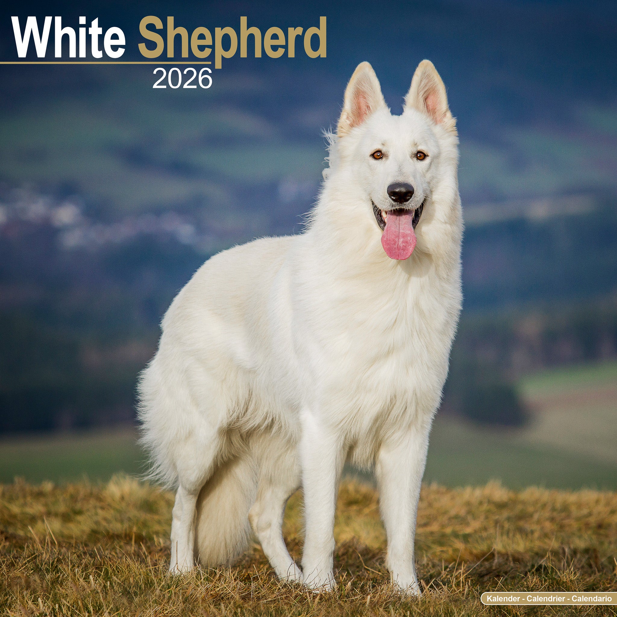 White Shepherd Kalender 2026