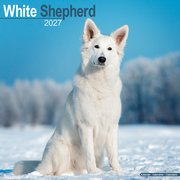 White Shepherd Kalender 2027