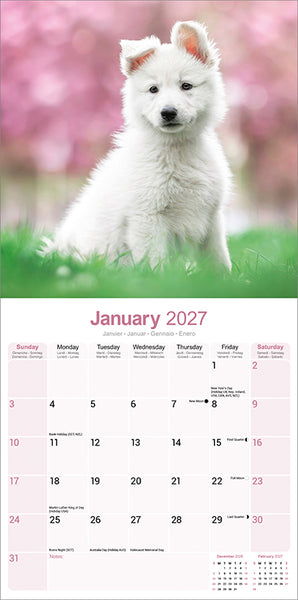 White Shepherd Kalender 2027