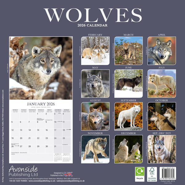 Wolves Kalender 2026