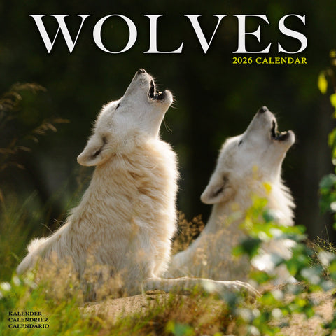 Wolves Kalender 2026