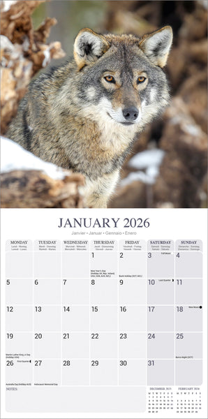 Wolves Kalender 2026
