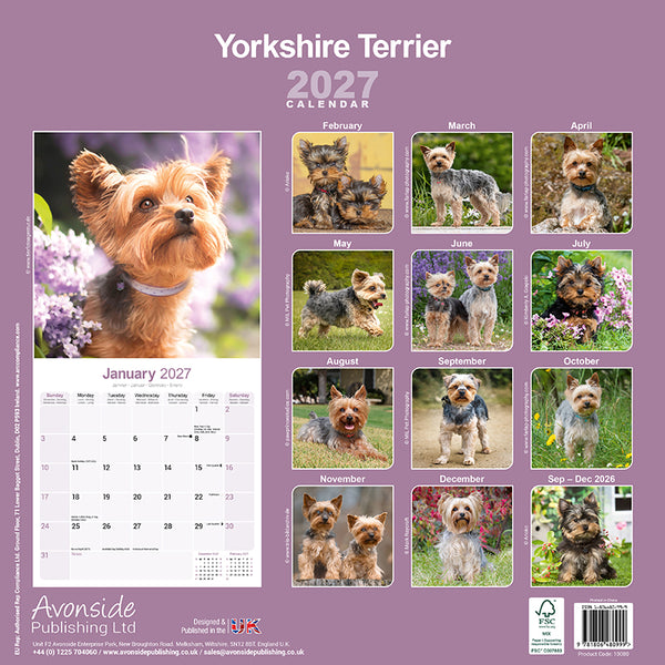 Yorkshire Terrier Kalender 2027